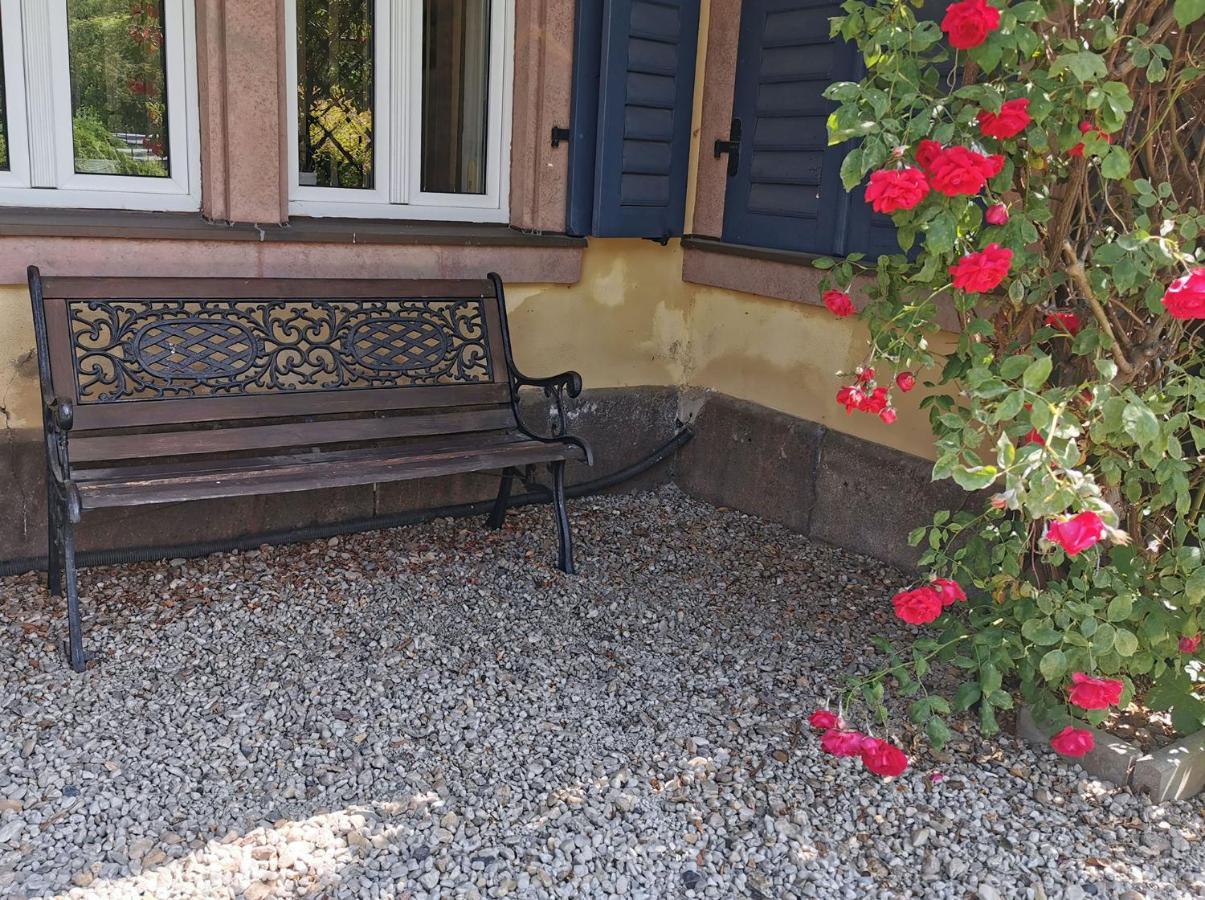 Apartment In Villa Rochlitz Exterior foto